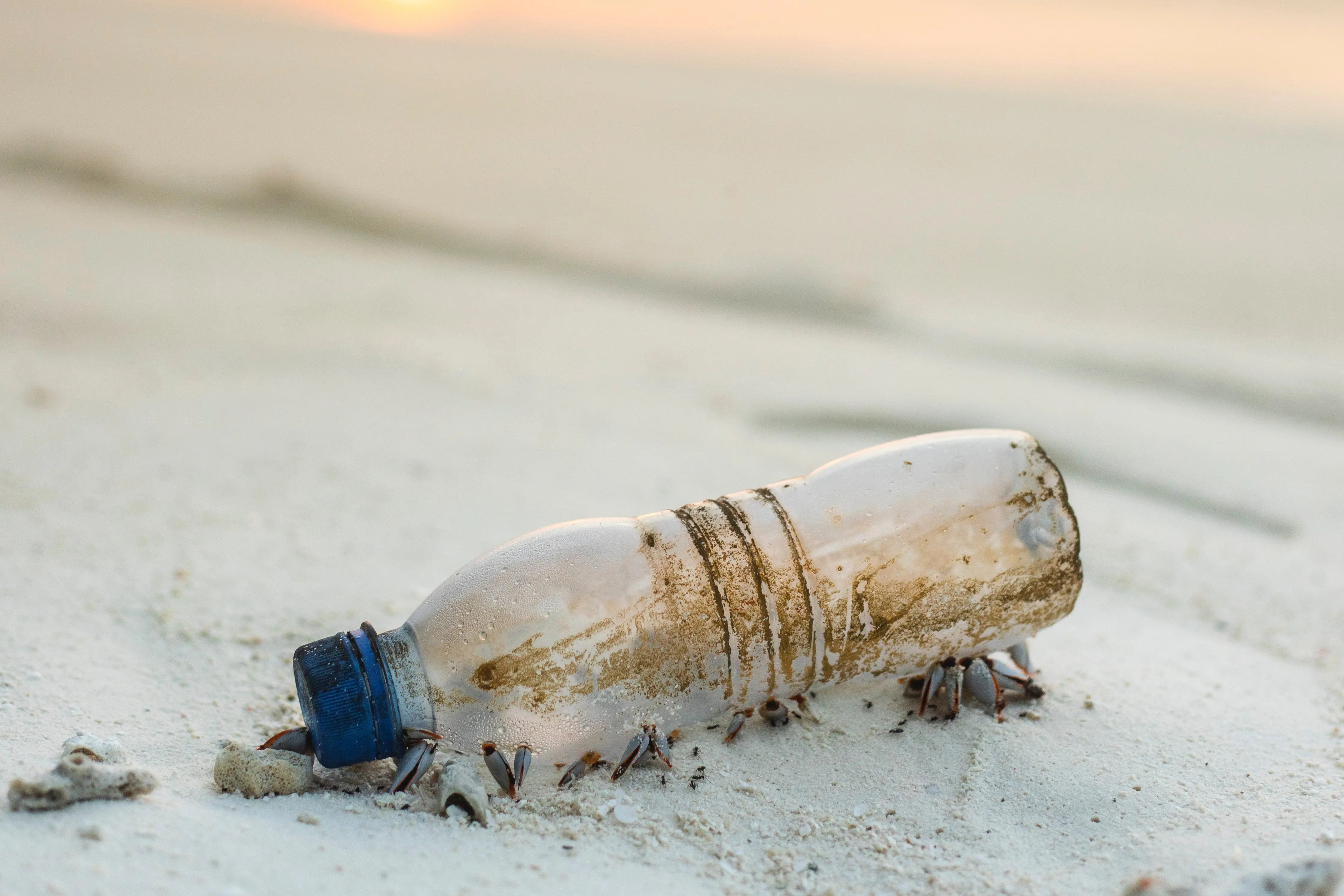 5 Facts to Know About the Plastic Pollution in Our Ocean-The Living Co.