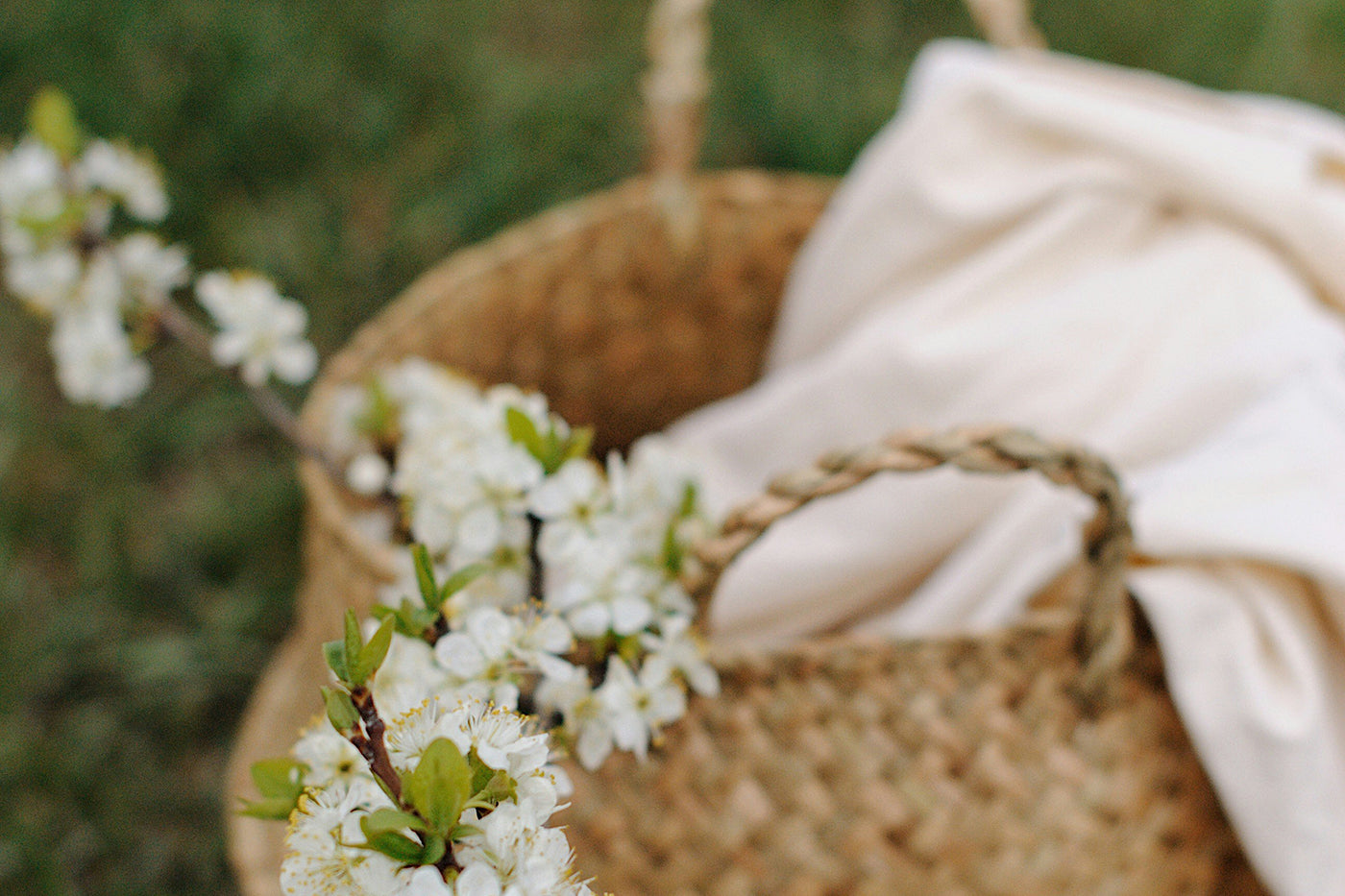 How to Create a Toxic Free Laundry Routine-The Living Co.