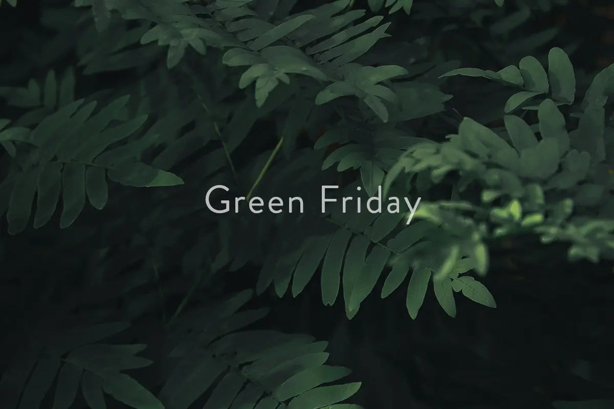 A Conscious Alternative to Black Friday: Why We’re Celebrating Green Friday