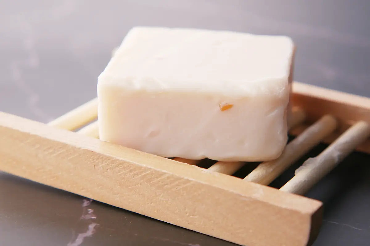 6 Benefits of Switching to Shampoo Bars-The Living Co.