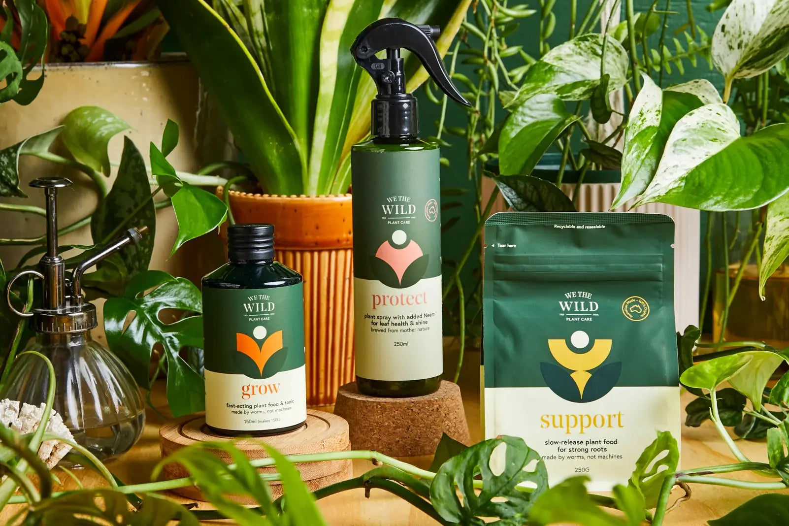 Advantages of Using Organic Plant Care Products-The Living Co.