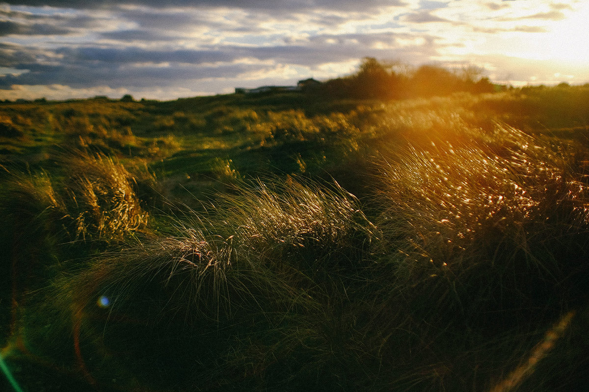 Defining Zero Waste Living: What Are the 5 Rs to Live By-The Living Co.