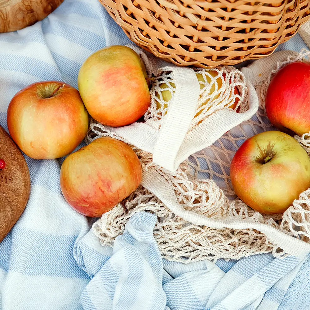 Eco-friendly-picnic_bag-The Living Co.