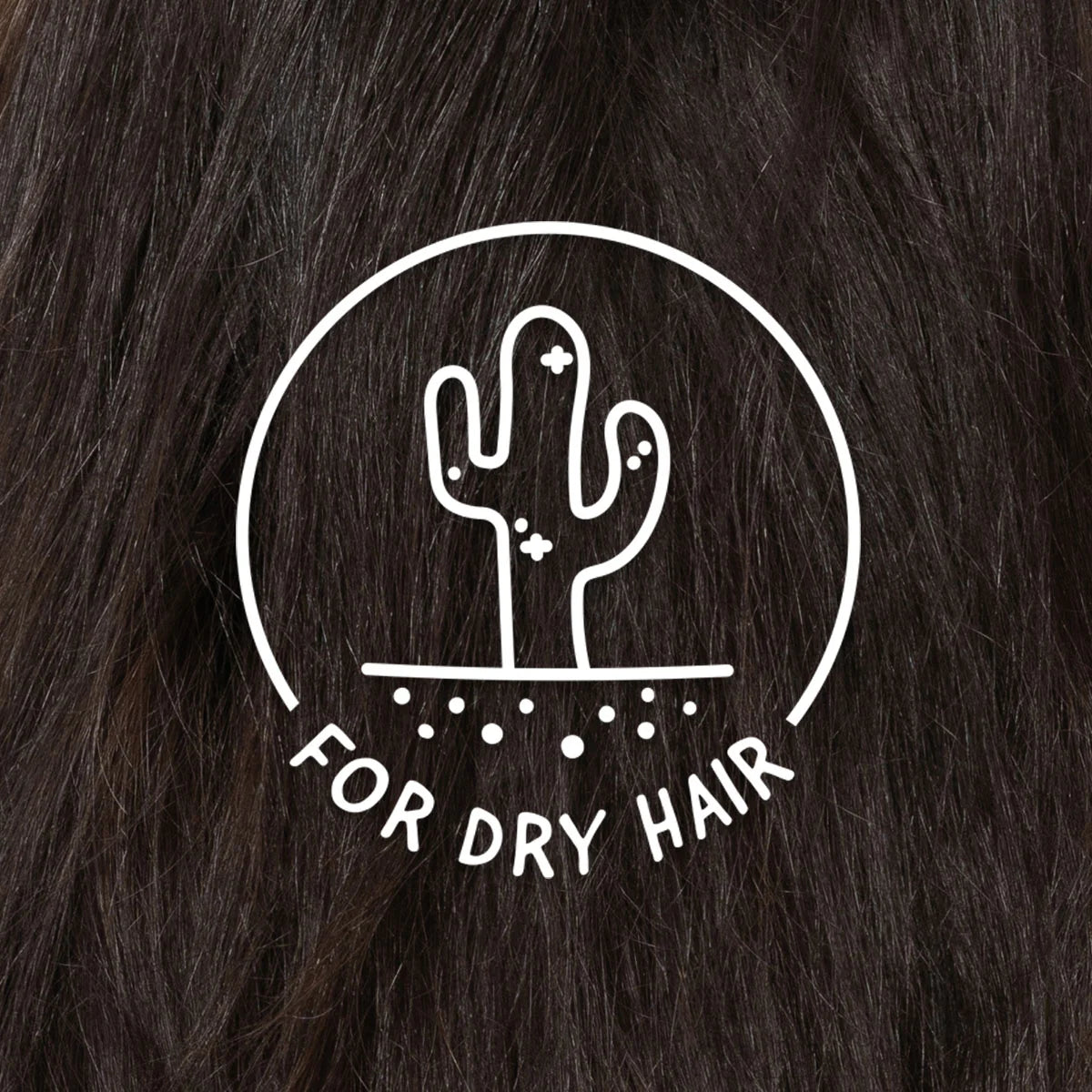 Ethique Nourishing Conditioner Bar for Dry Hair: The Guardian