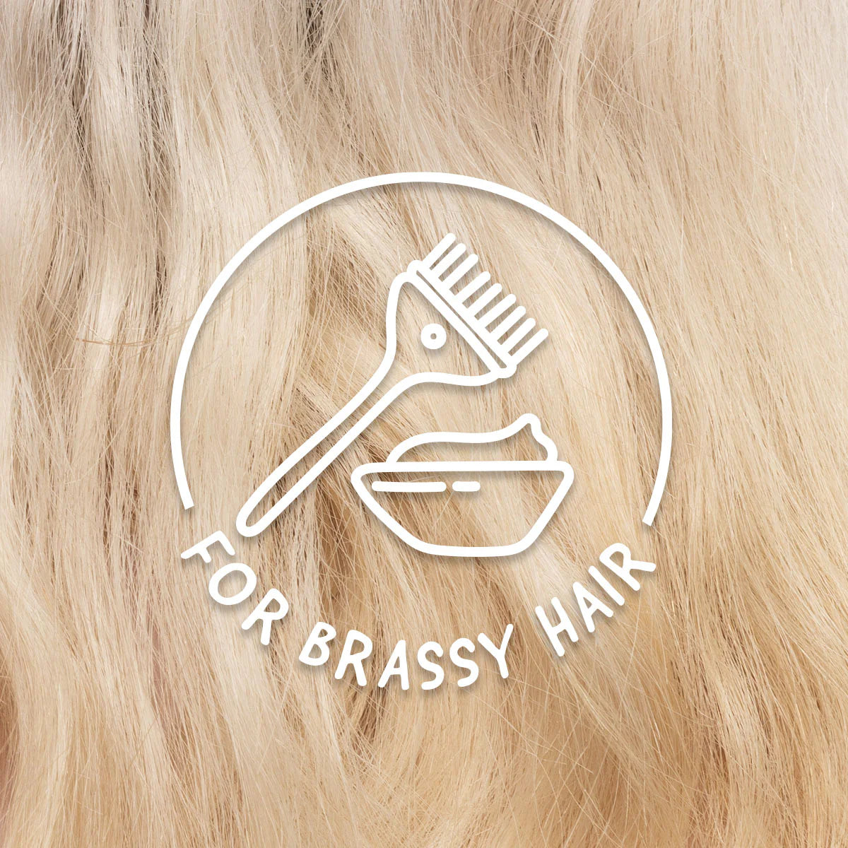 Ethique Solid Conditioner Bar Tone It Down for Blondes & silver foxes