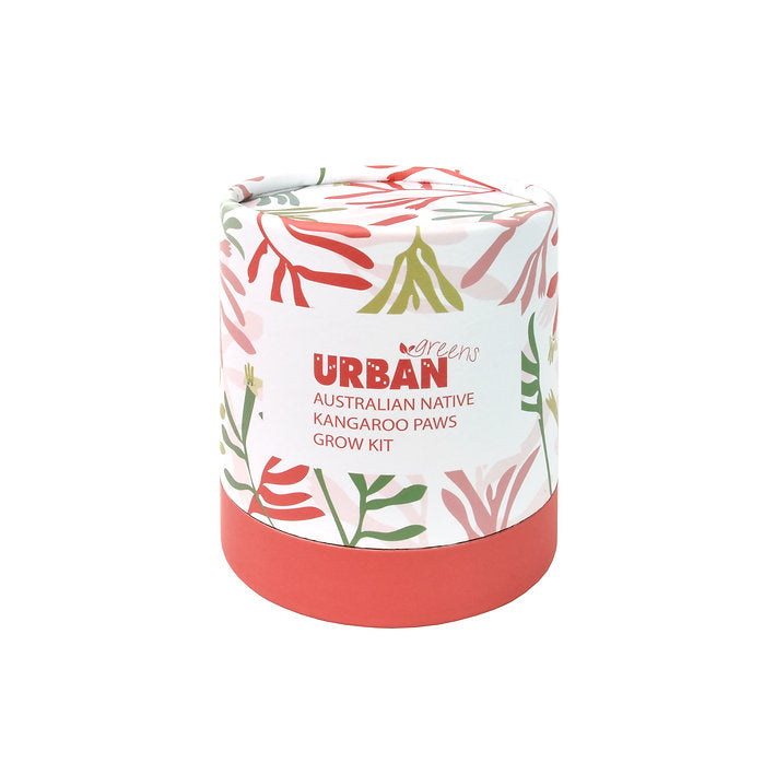 Urban Greens Australian Native Kangaroo Paws Grow Kit