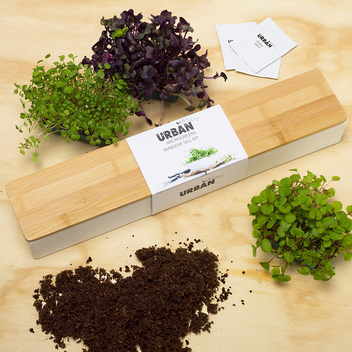 Urban Greens Windowsill Grow Kit Microgreens 45x8x6cm-The Living Co.