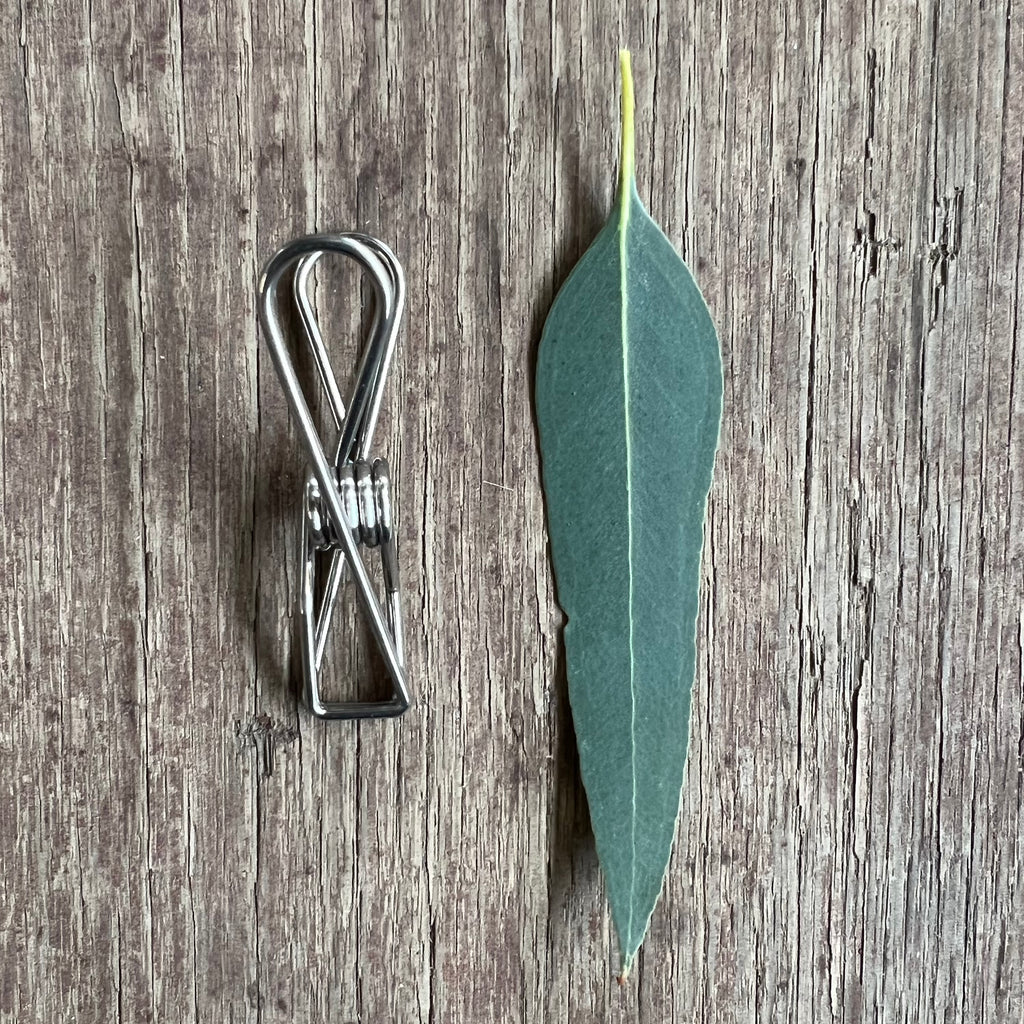That Red House Stainless Steel Pegs x24