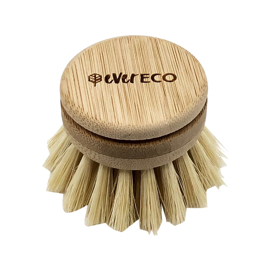 Ever Eco Dish Brush Replacement Head