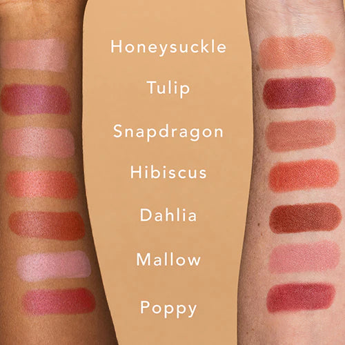 Ethique Lipstick Snapdragon Rosy mauve (8g)