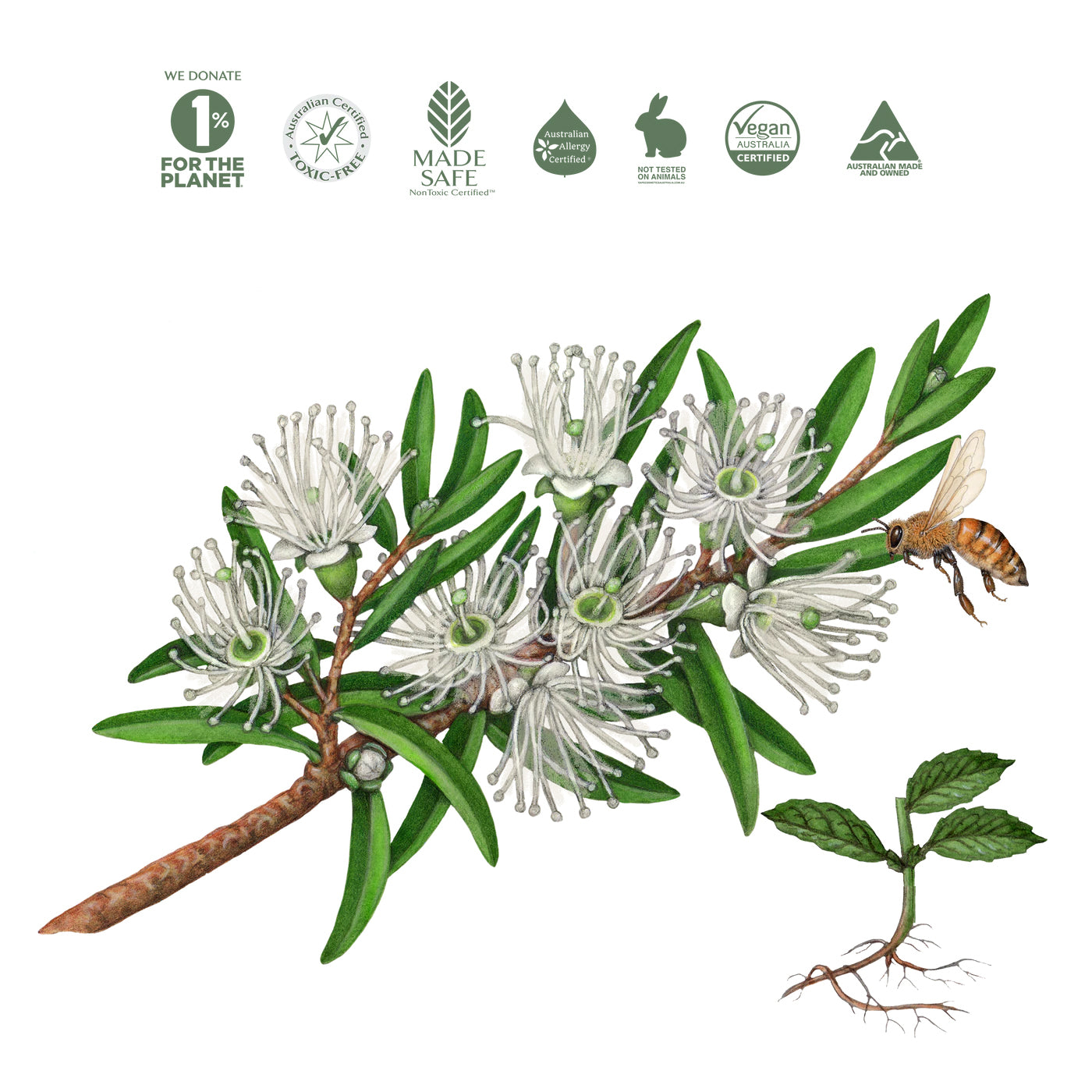 Koala Eco Body Wash Rosalina & Peppermint