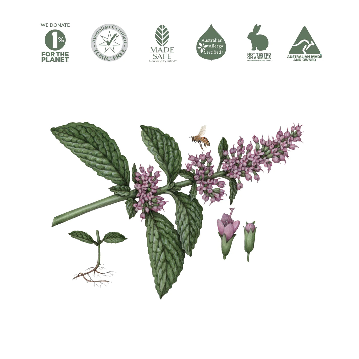 Koala Eco Glass Cleaner 100% Peppermint Essential Oil