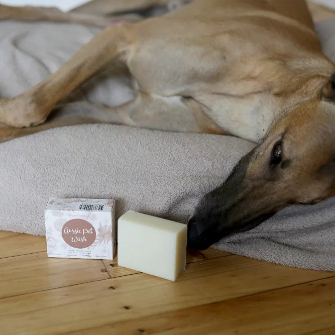 Minimal Essentials Aussie Pet Wash Bar-The Living Co.