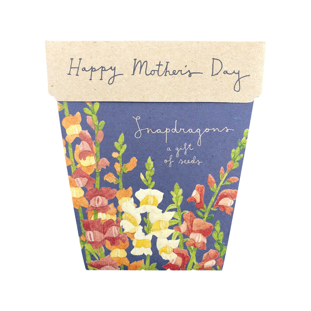 Sow 'n Sow Gift Of Seeds Mother's Day Snapdragons