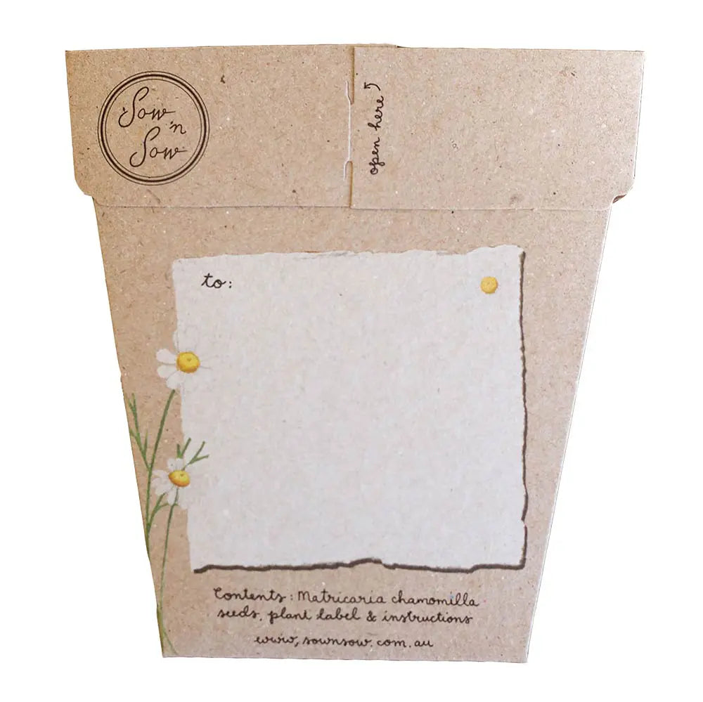 Sow 'n Sow Gift of Seeds Chamomile-The Living Co.