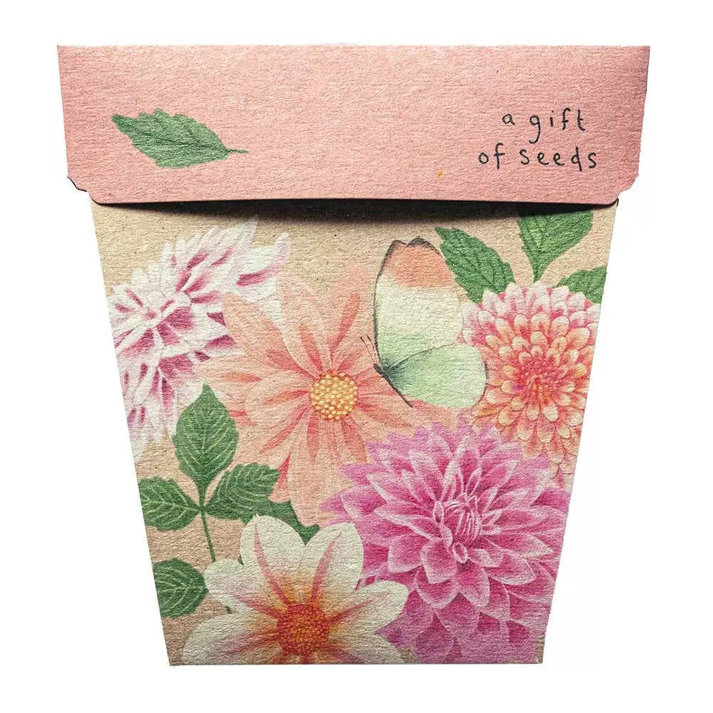 Sow 'n Sow Gift of Seeds Dahilia