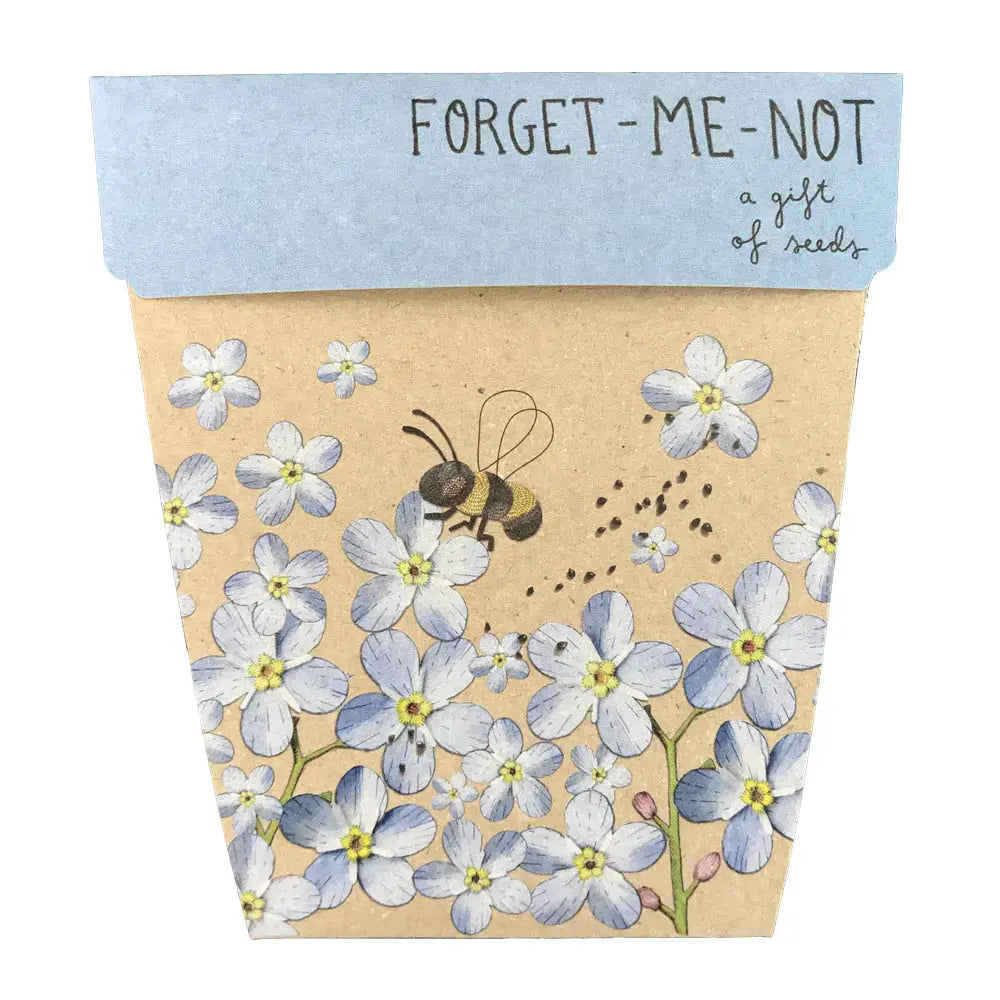 Sow 'n Sow Gift of Seeds Forget Me Not-The Living Co.