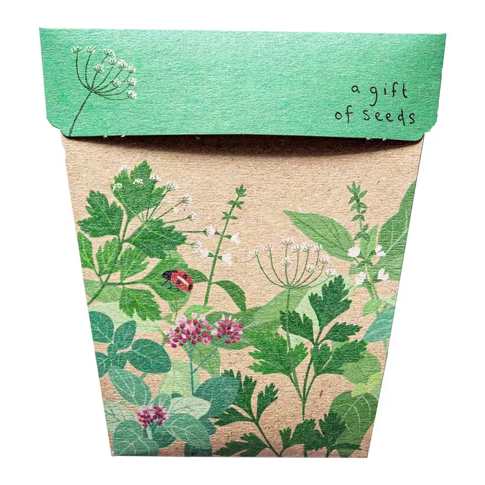 Sow 'n Sow Gift of Seeds Garden Herbs-The Living Co.