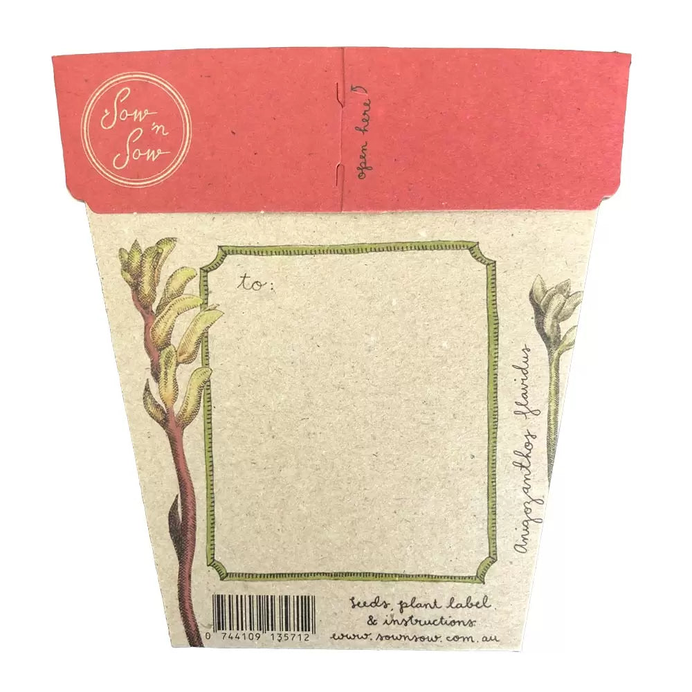Sow 'n Sow Gift of Seeds Kangaroo Paw
