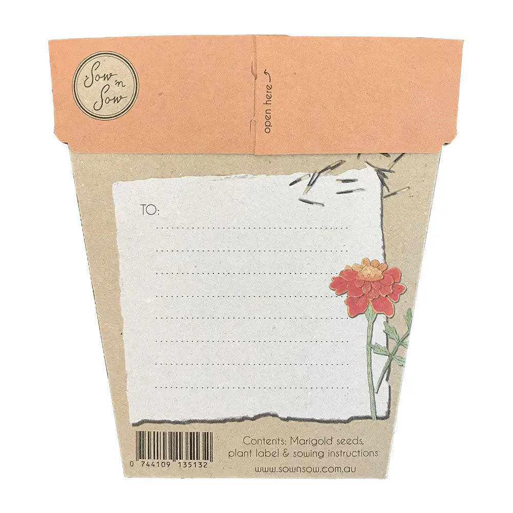 Sow 'n Sow Gift of Seeds Marigolds