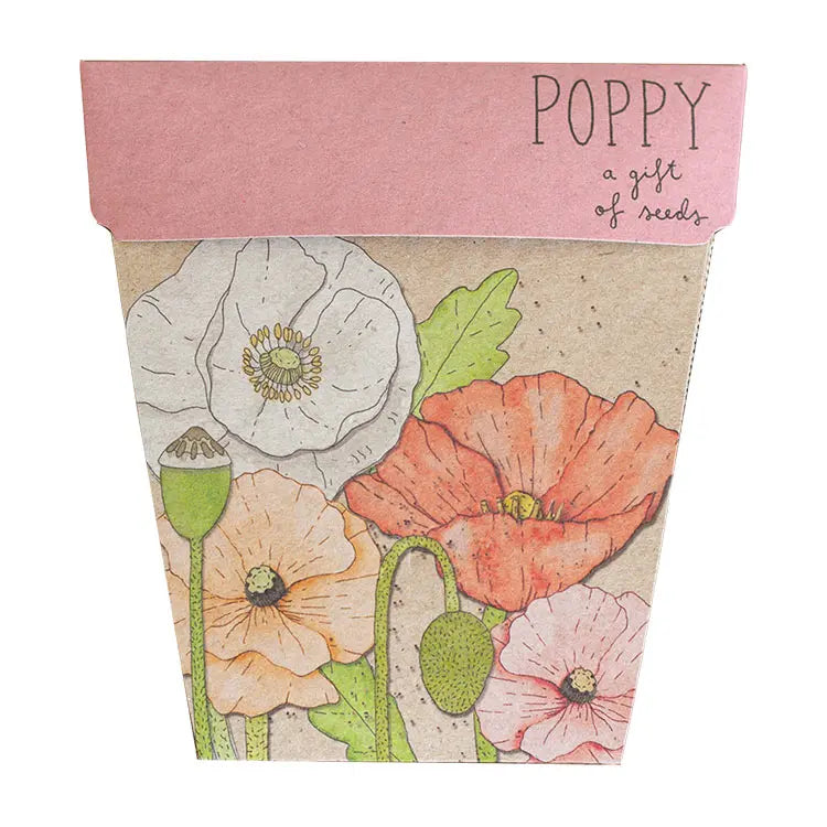Sow 'n Sow Gift of Seeds Poppy-The Living Co.