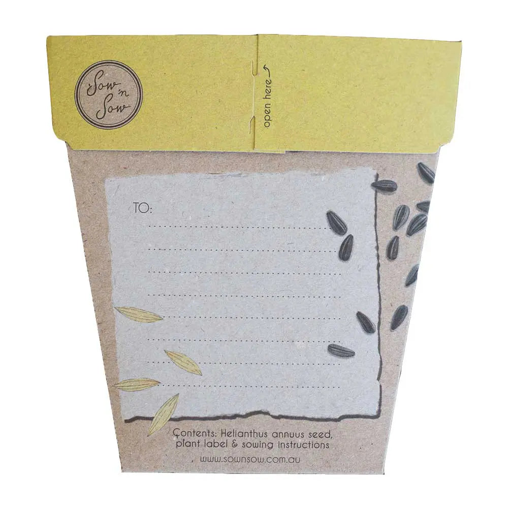 Sow 'n Sow Gift of Seeds Sunflower