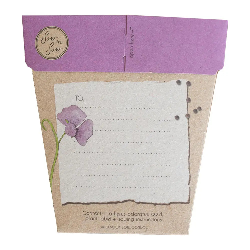 Sow 'n Sow Gift of Seeds Sweet Pea-The Living Co.