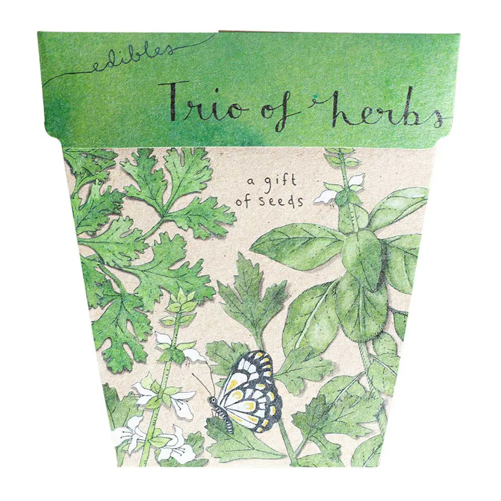 Sow 'n Sow Gift of Seeds Trio of Herbs
