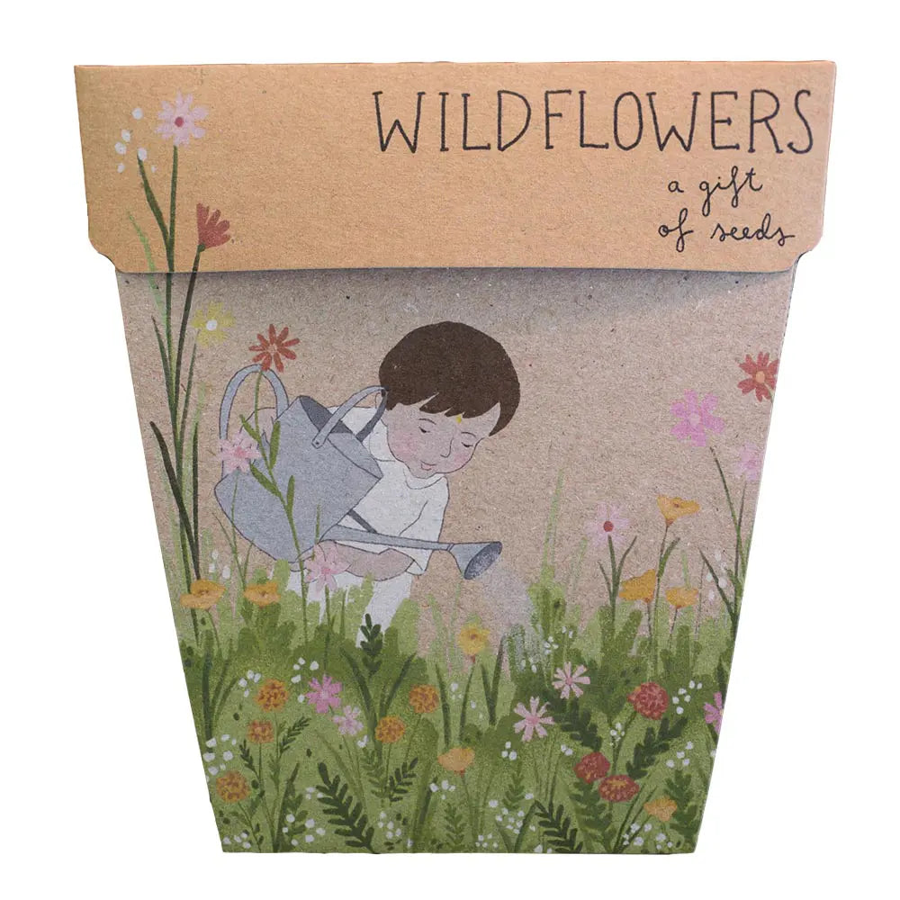 Sow 'n Sow Gift of Seeds Wild Flowers-The Living Co.