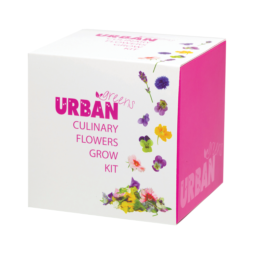 Urban Greens Grow Kit Culinary Flowers 10x10cm