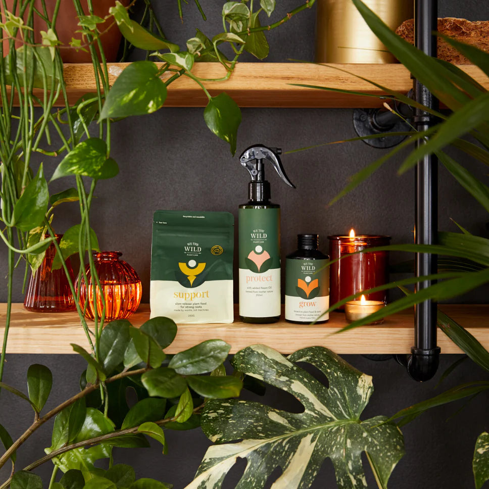 We The Wild Essential Plant Care Kit
