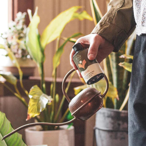 We The Wild Grow Plant Food & Tonic