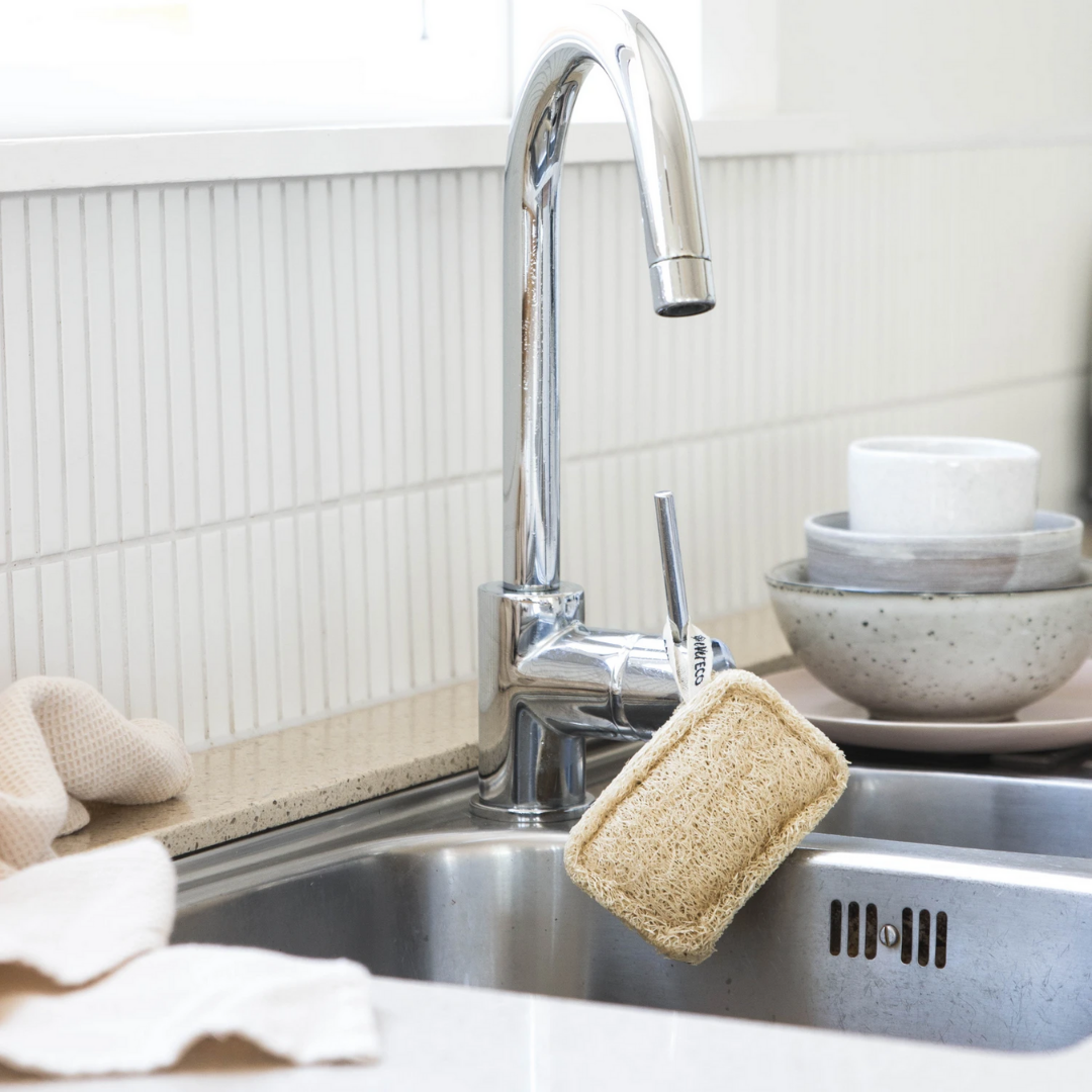 Ever Eco Loofah Dish Sponges Set of 2