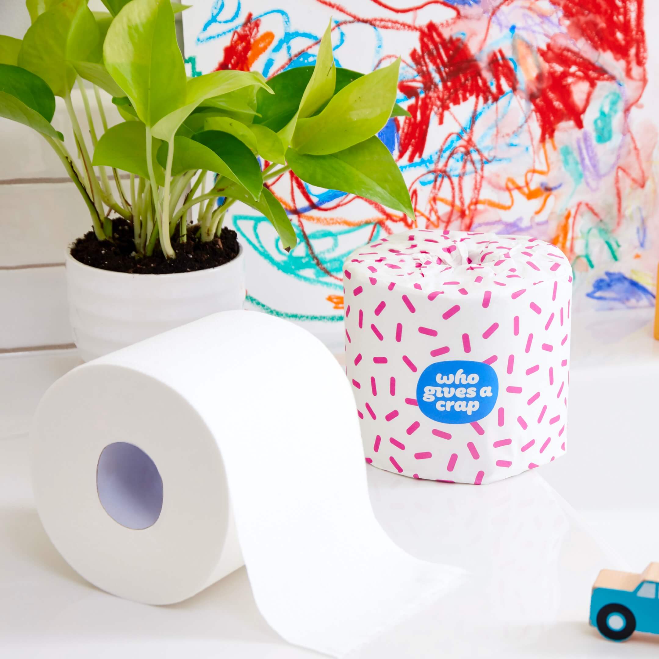 Who Gives a Crap 100% Recycled Toilet Paper-The Living Co.