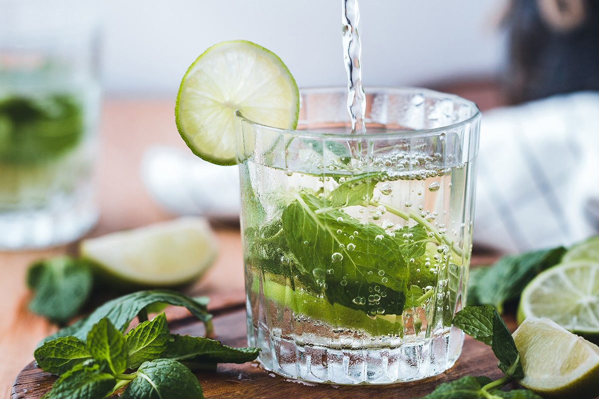 5 Eco-Friendly Reasons a Water Filter is a Great Investment-The Living Co.