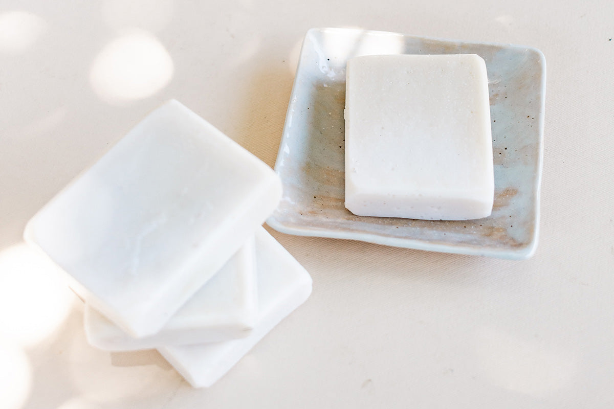 How to Store Shampoo Bars-The Living Co.