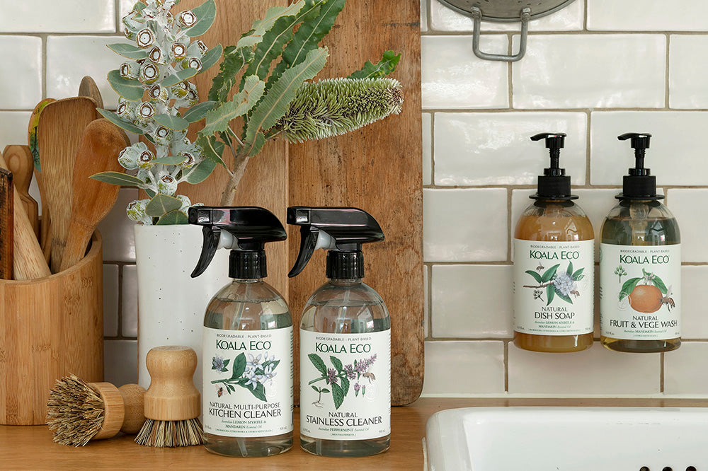 Clean and Green: Reinventing Home Maintenance-The Living Co.