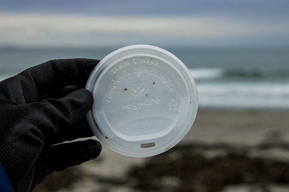 Greenwashing: What It Is and What Can Be Done About It-The Living Co.