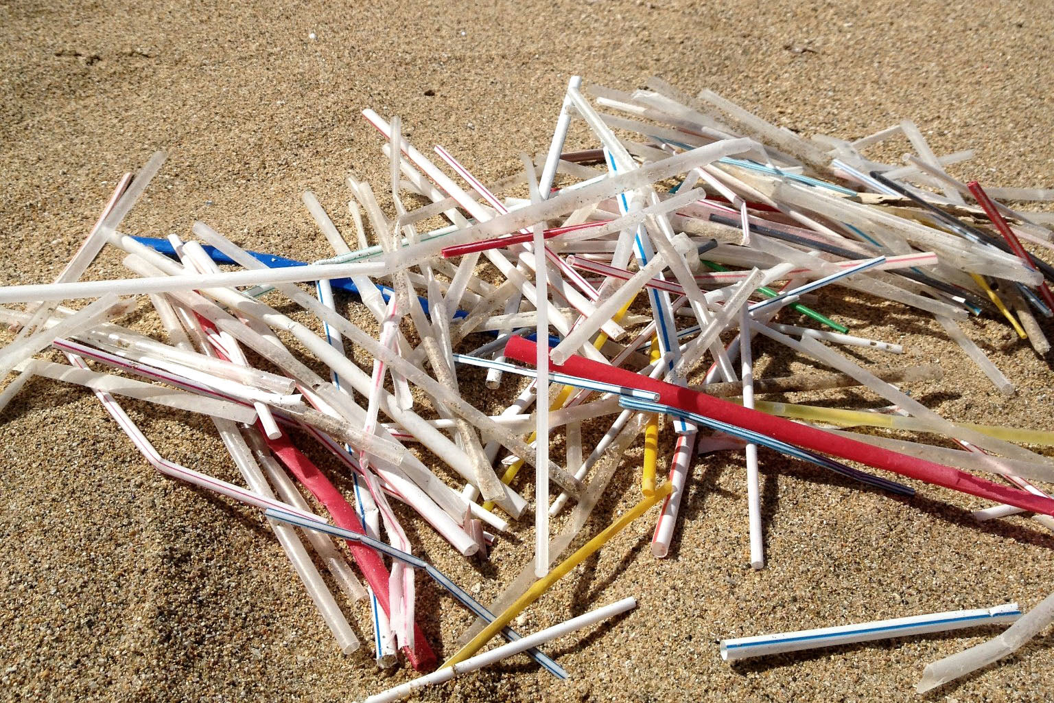 Why You Should Skip Plastic Straws and Opt For Sustainability-The Living Co.