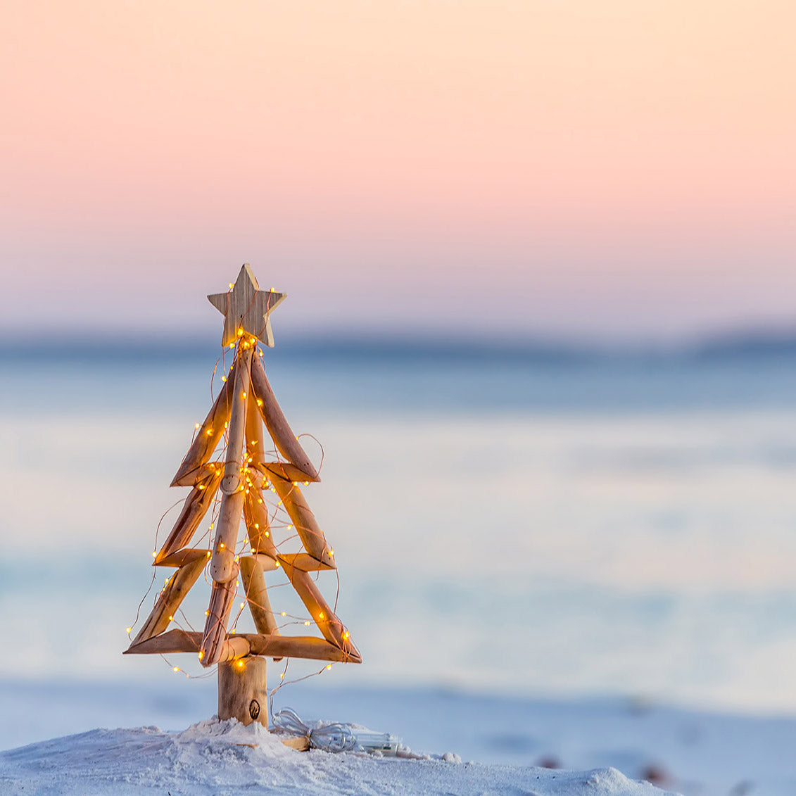 Christmas_e6135f81-a802-43bb-b108-e76495bf9159-The Living Co.