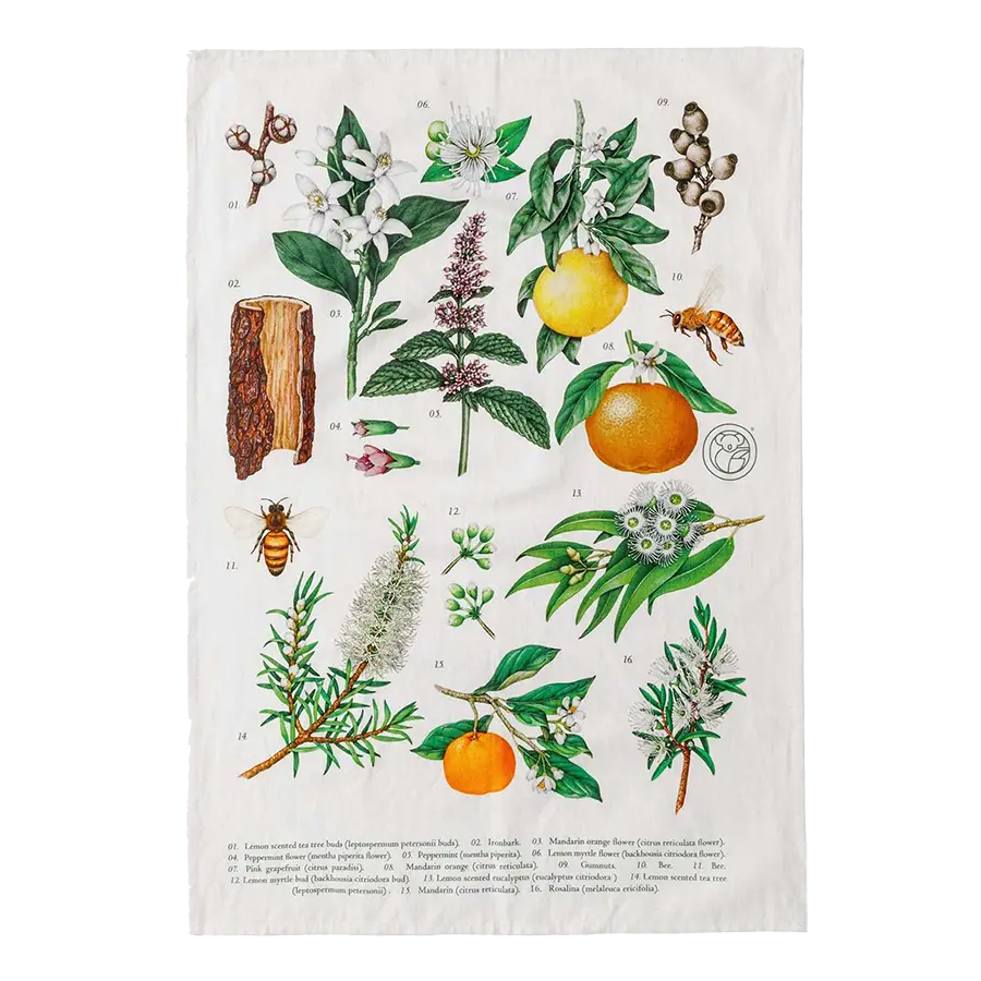 Koala Eco Tea Towel Botanical