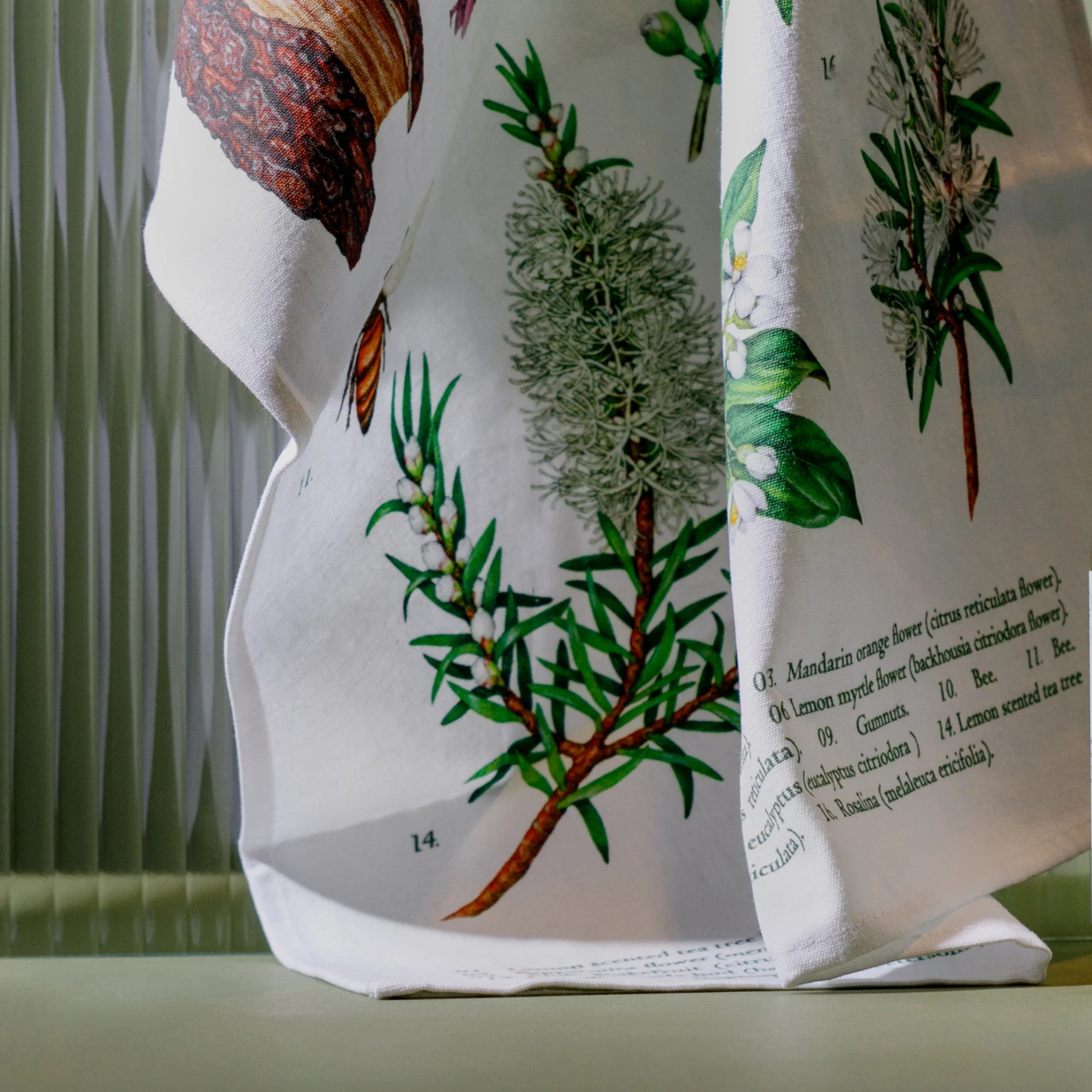 Koala Eco Tea Towel Botanical-The Living Co.