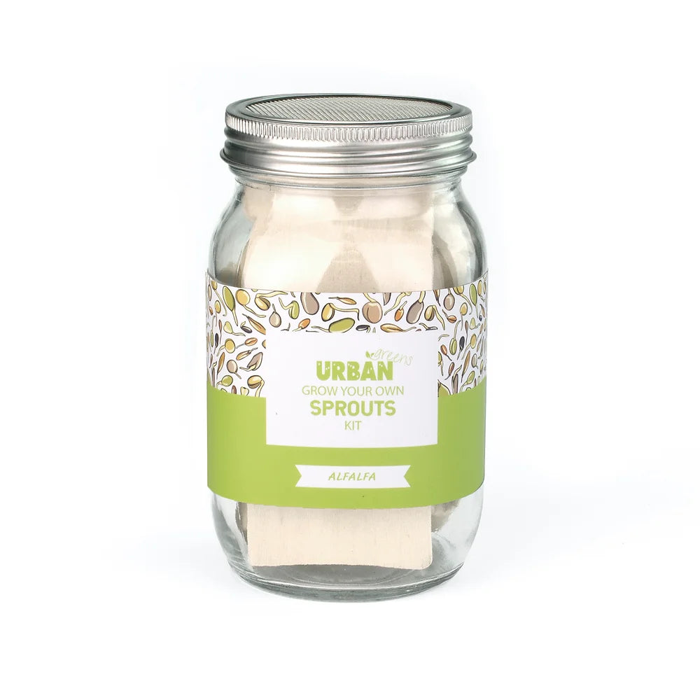 Urban Greens Sprout Jar - Alfafa-The Living Co.