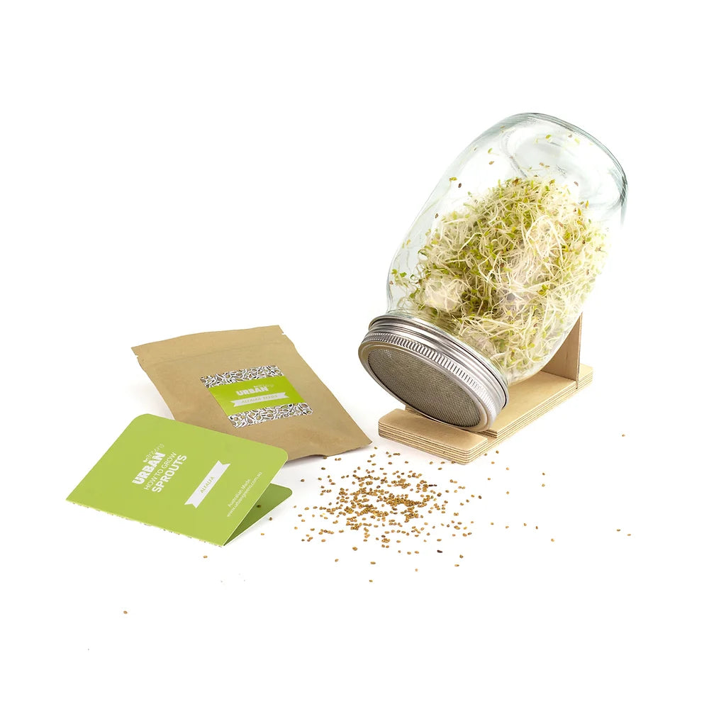 Urban Greens Sprout Jar - Alfafa-The Living Co.