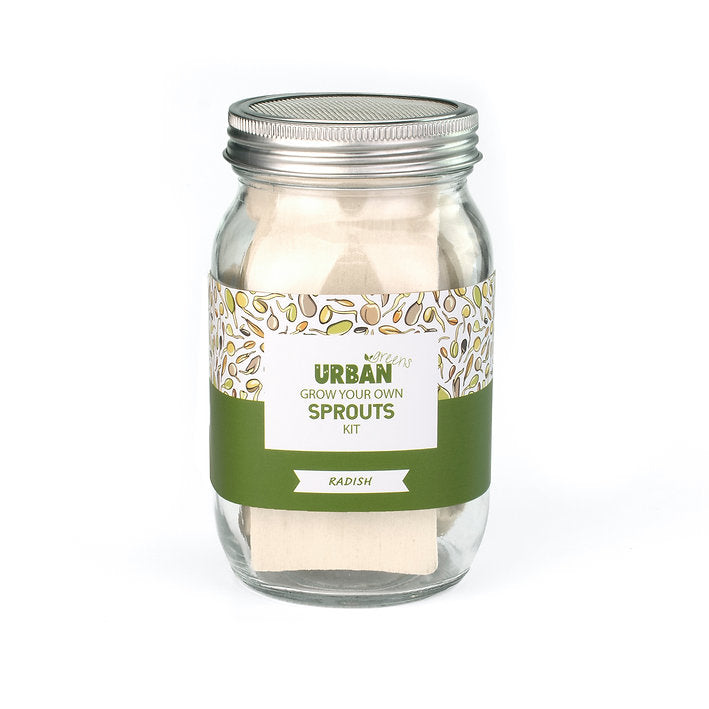 Urban Greens Sprout Jar - Radish-The Living Co.