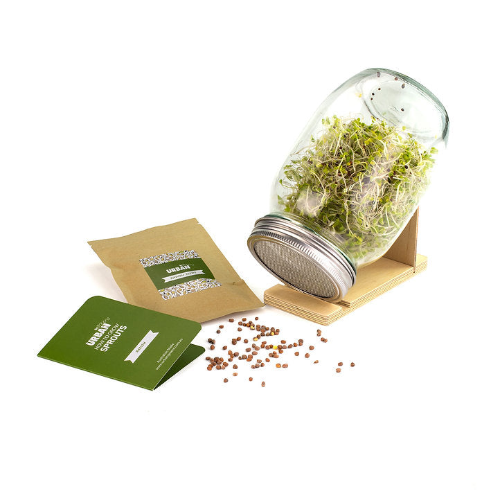 Urban Greens Sprout Jar - Radish-The Living Co.