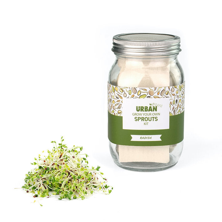 Urban Greens Sprout Jar - Radish-The Living Co.