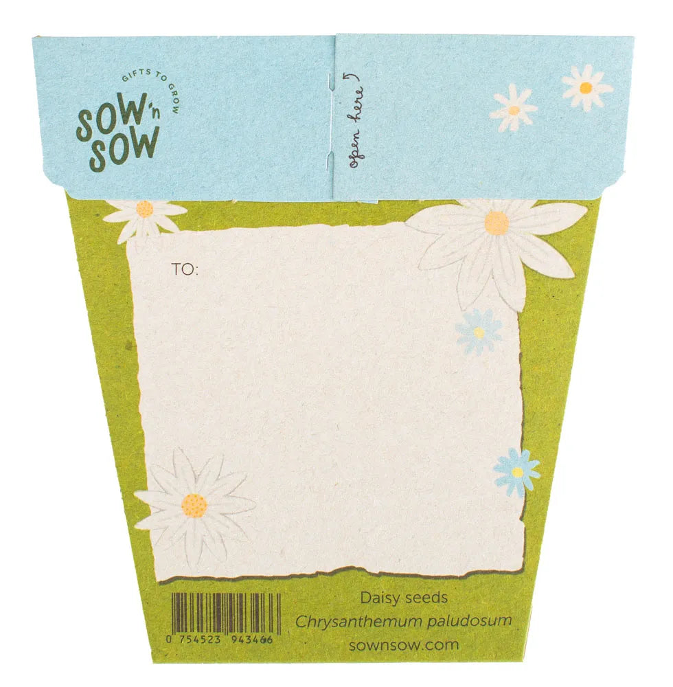 Sow 'n Sow Gift of Seeds Daisy-The Living Co.