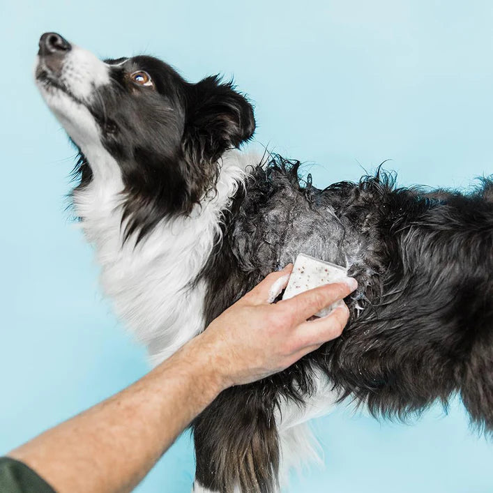 Ethique Shampooch Dogs Solid Shampoo Sensitive (110g)-The Living Co.