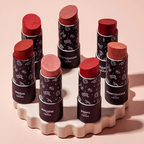 Ethique Lipstick Snapdragon Rosy mauve (8g)-The Living Co.